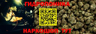 кокс Кунгур