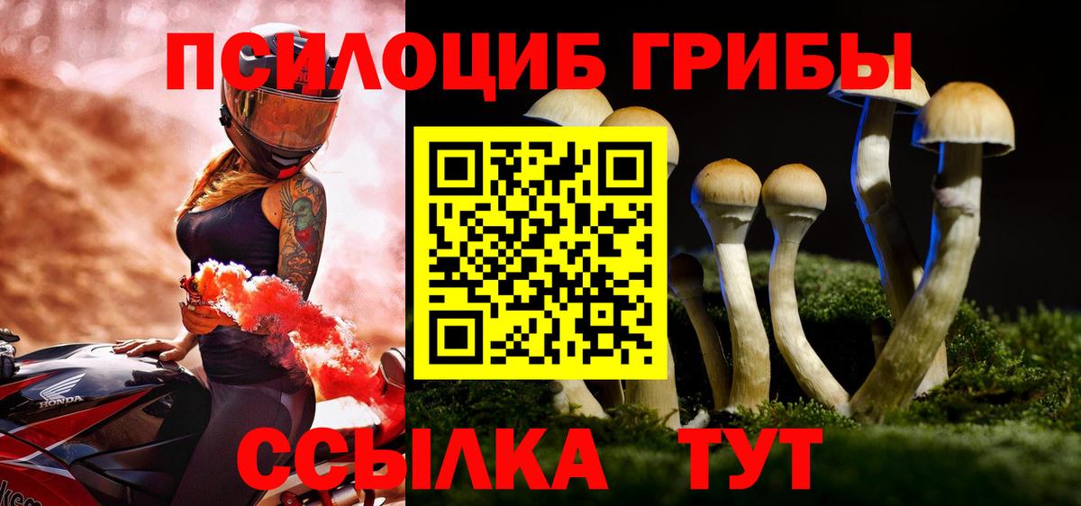 Галлюциногенные грибы мицелий  Галлюциногенные грибы Psilocybine cubensis  сколько стоит  Вход с VPN  Звенигород 